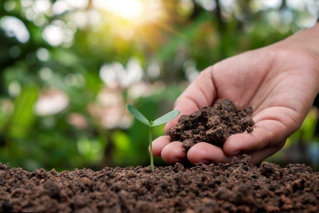 soil health